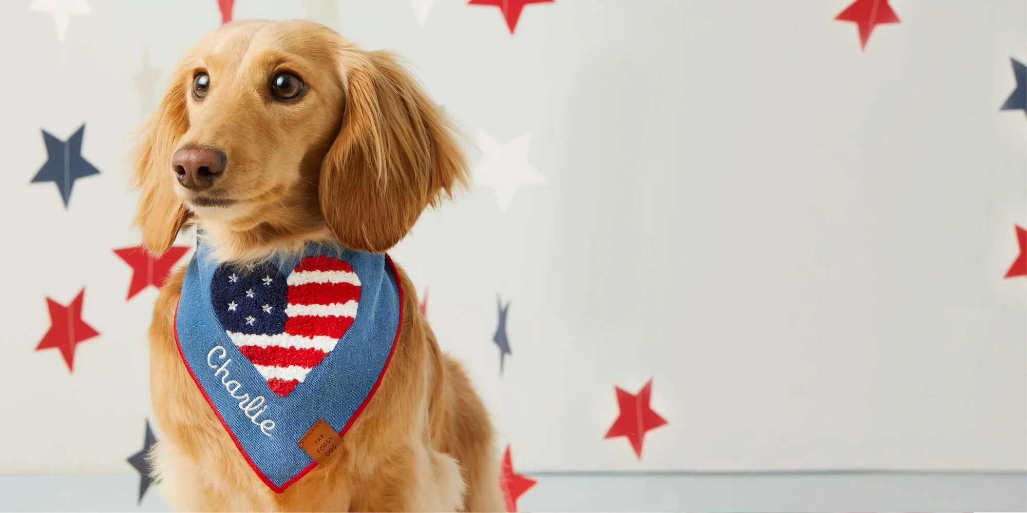 Style for Every Wag